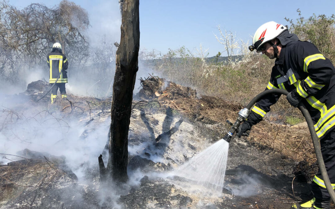 Vegetationsbrand in Mainzholzen