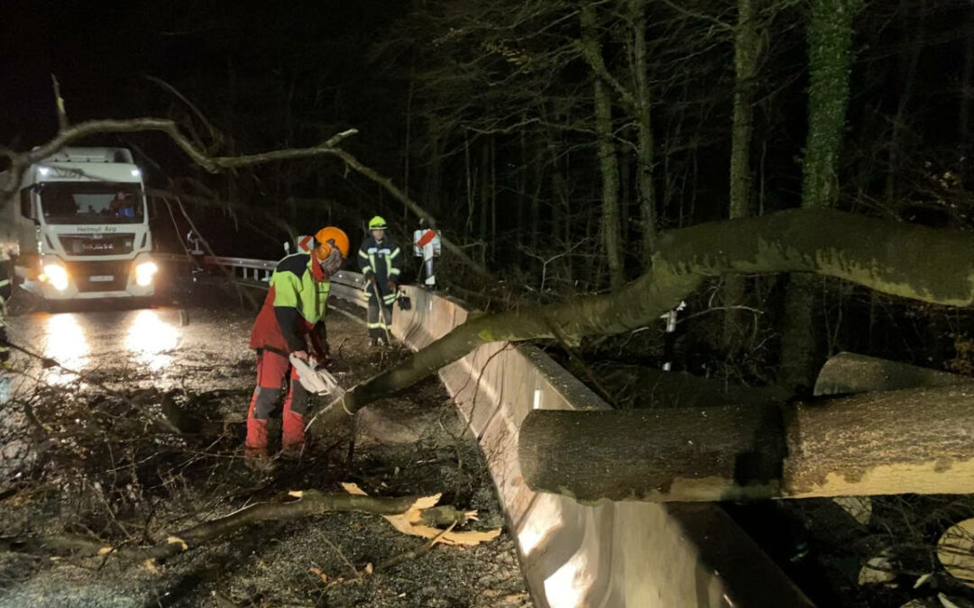 Baum stürzt auf die B240 (Ith)