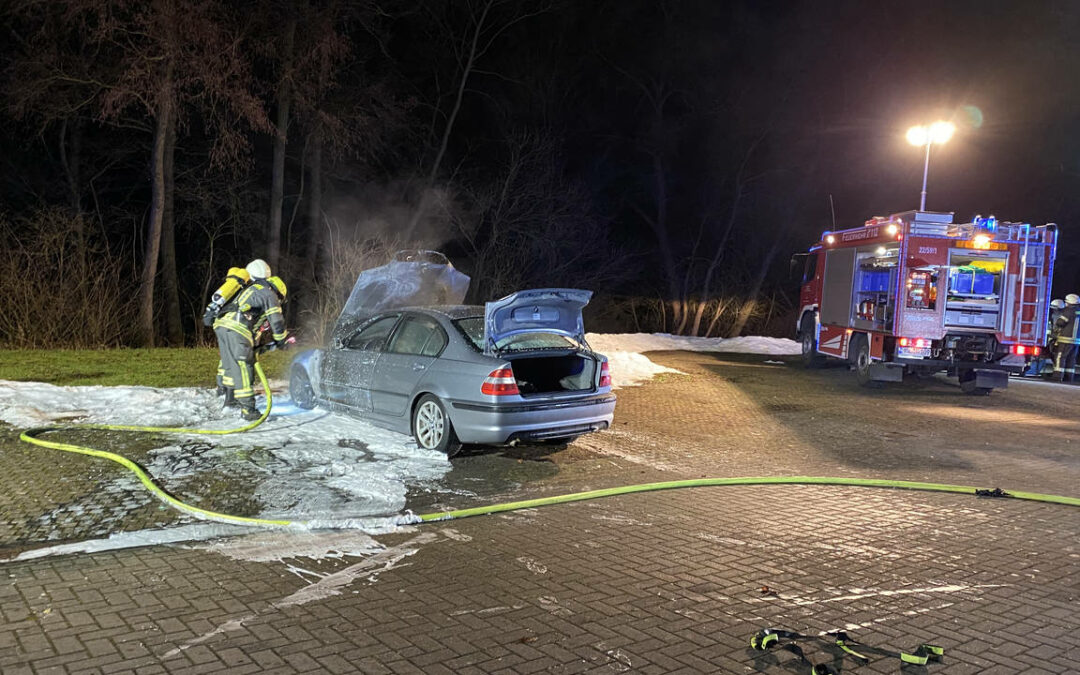 PKW-Brand im Anger