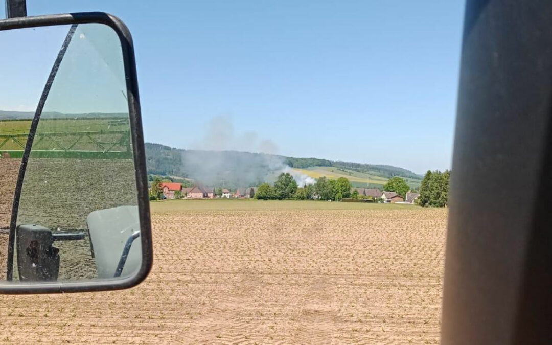 Heckenbrand in Lüerdissen