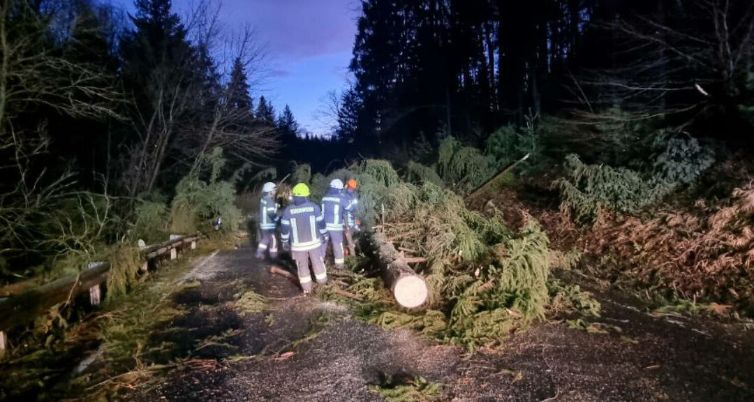 Einsatzmarathon für die Feuerwehr