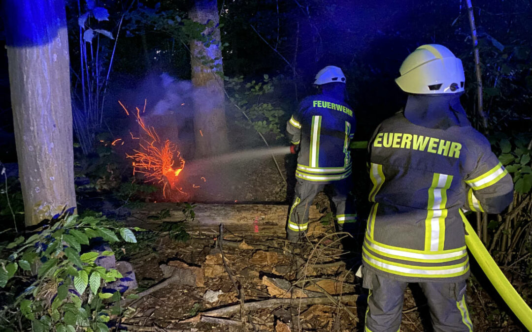 Holzen: Baumstumpf brennt im Wald
