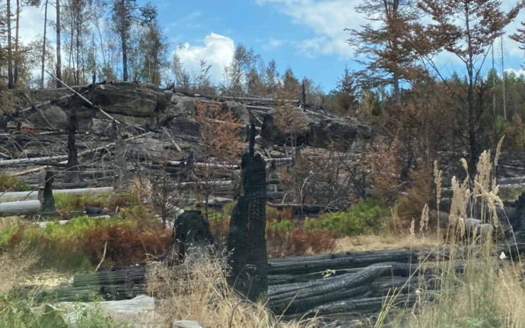 Einsatzende für die Feuerwehren aus dem Landkreis Holzminden in der Sächsischen Schweiz