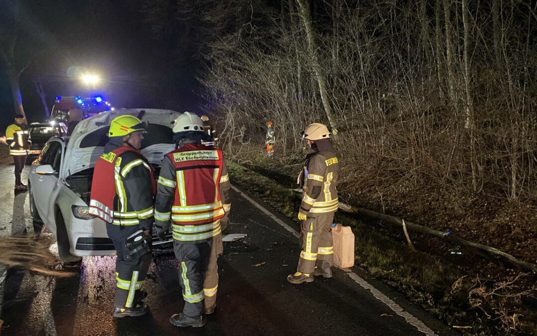 Umgestürzte Bäume sorgen für Verkehrsunfall auf B64