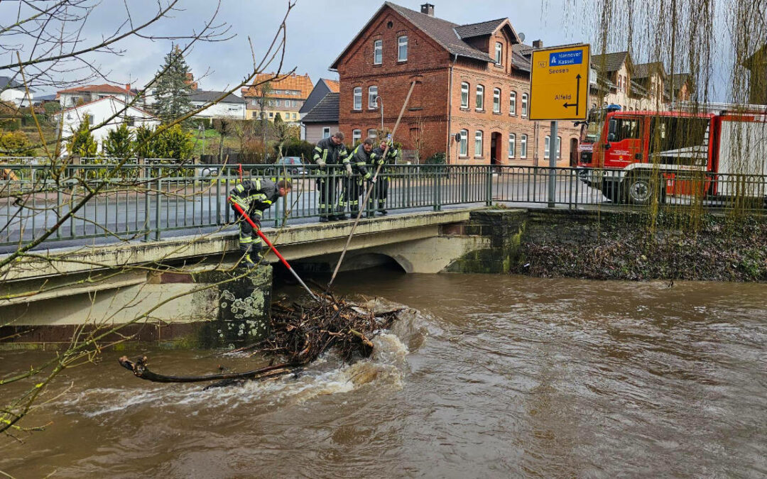 Beseitigung von Baumstämmen und Treibgut