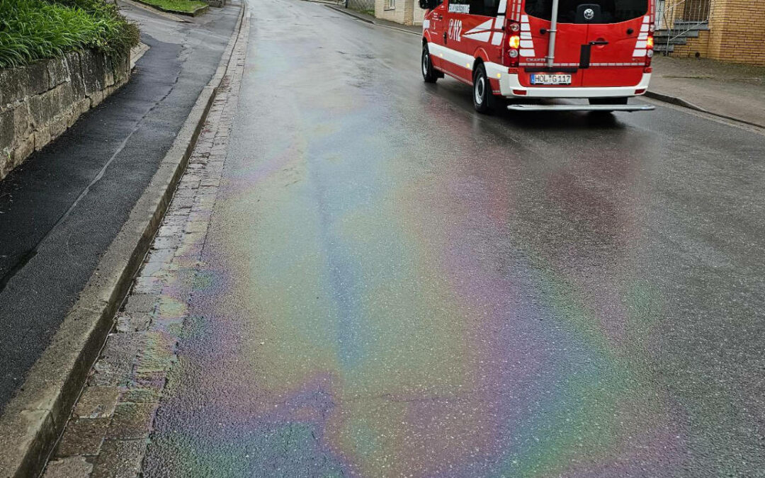 Ölverunreinigung in Holzen