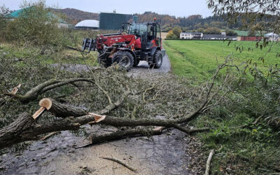 Umgestürztes Fass, umgestürzter Baum und Zigarettenrauch sorgen für Einsätze