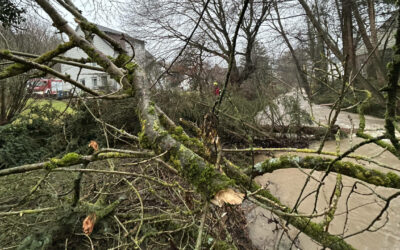 Hochwasserlage sorgt für Feuerwehreinsätze