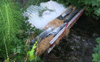 Ölverunreinigung des Ruthebachs in Holzen