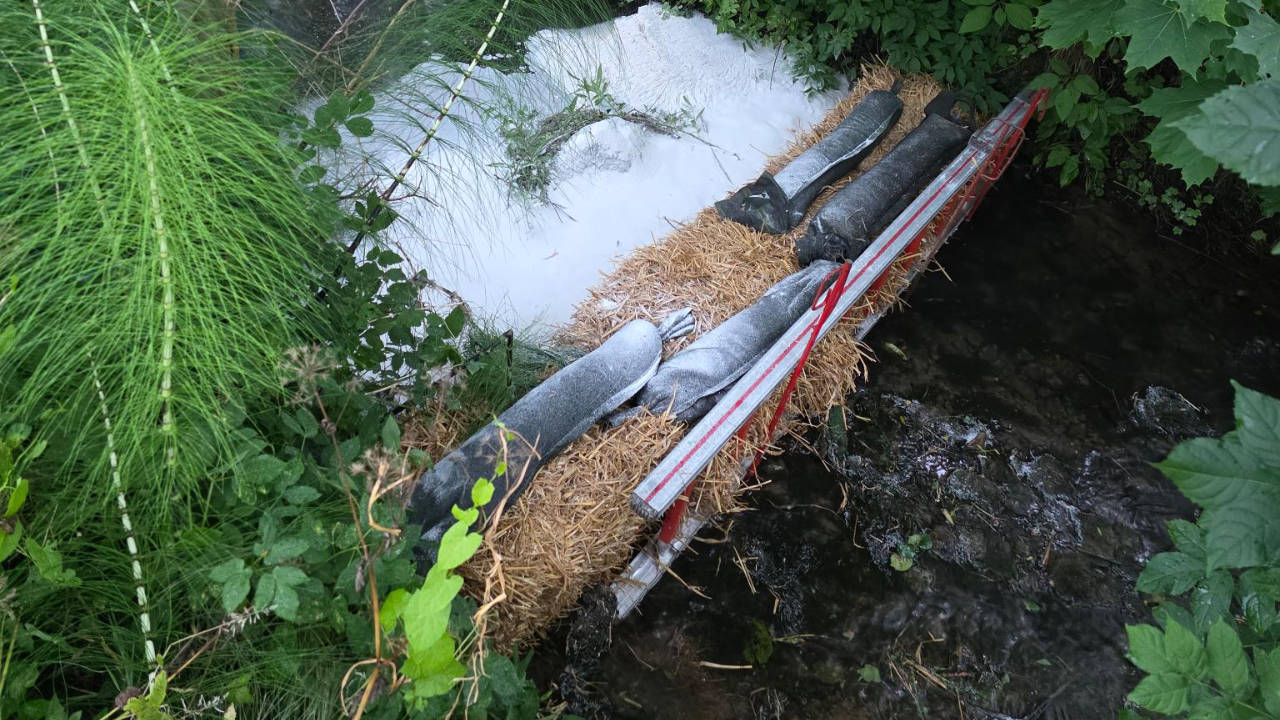 Ölverunreinigung des Ruthebachs in Holzen