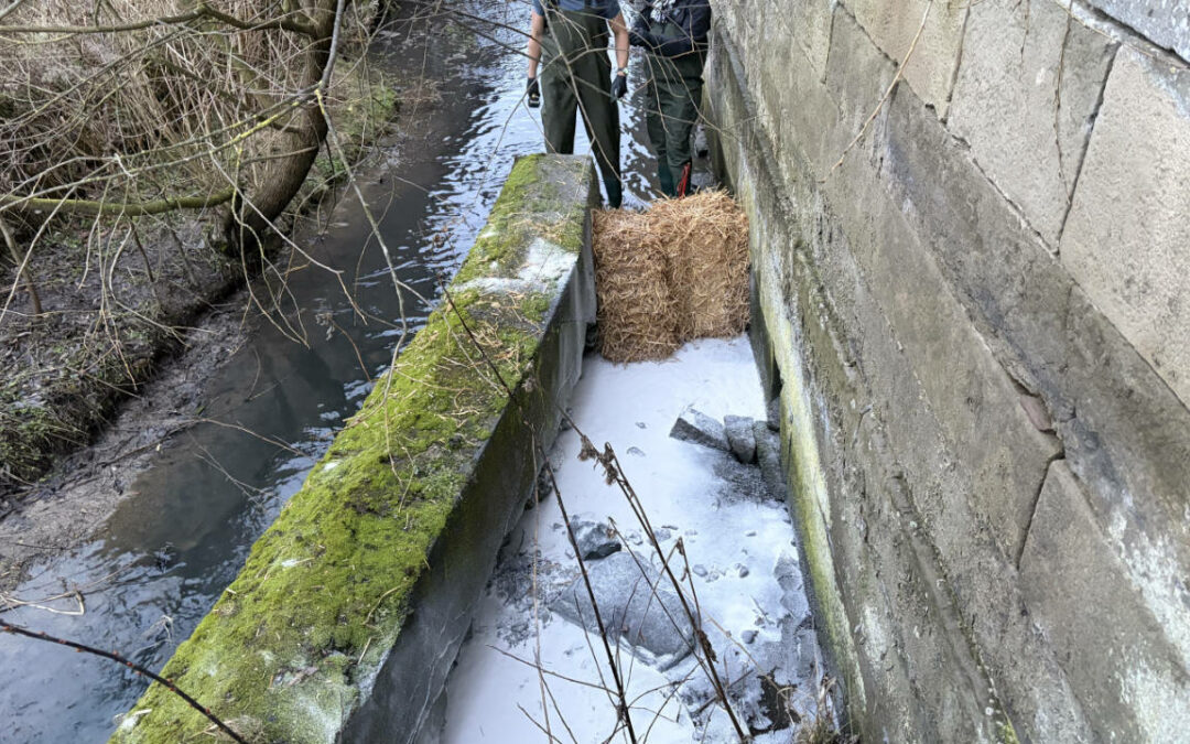 Lösungmittel auf dem Siebenbach in Holzen