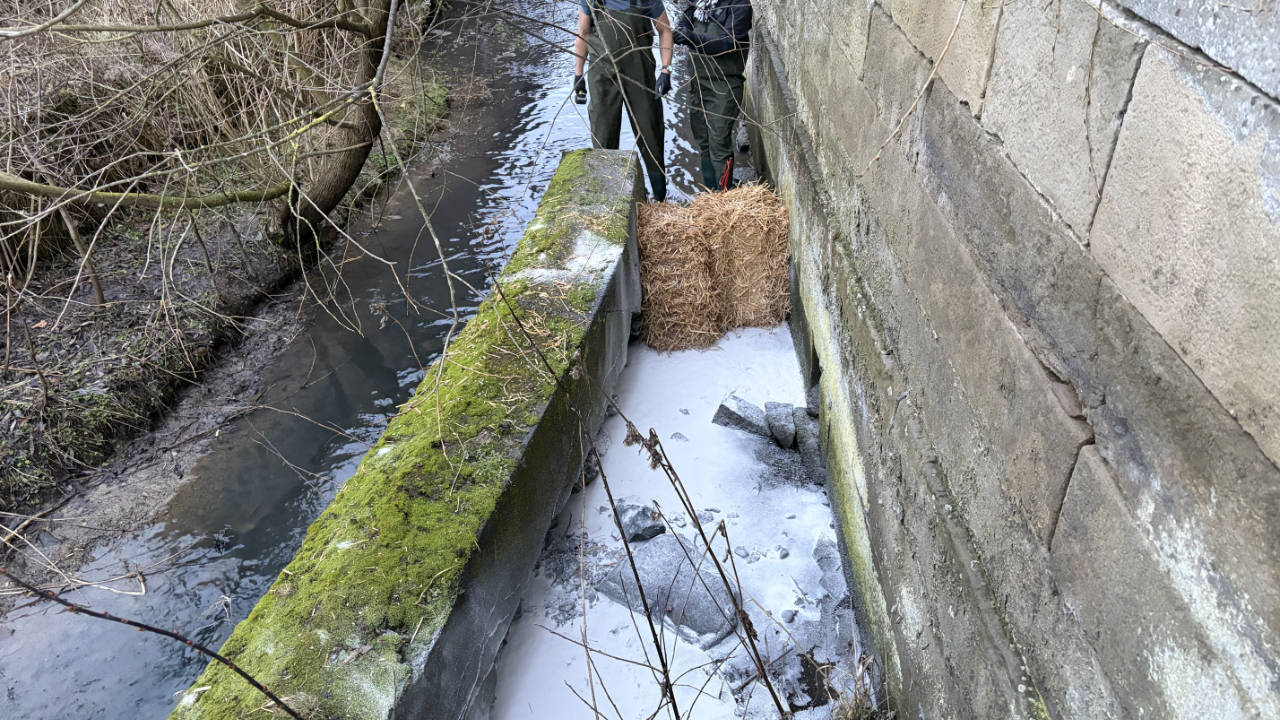 Lösungmittel auf dem Siebenbach in Holzen