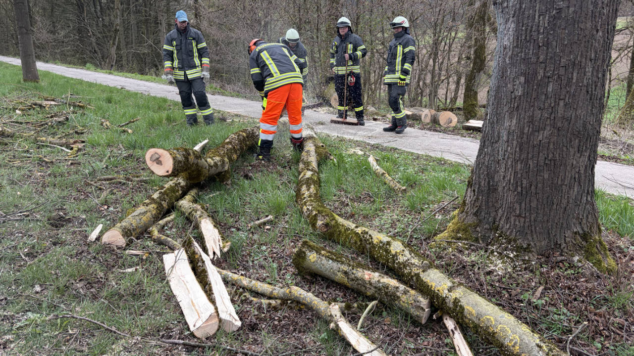 PKW fährt in umgestürzten Baum auf der B64 bei Vorwohle