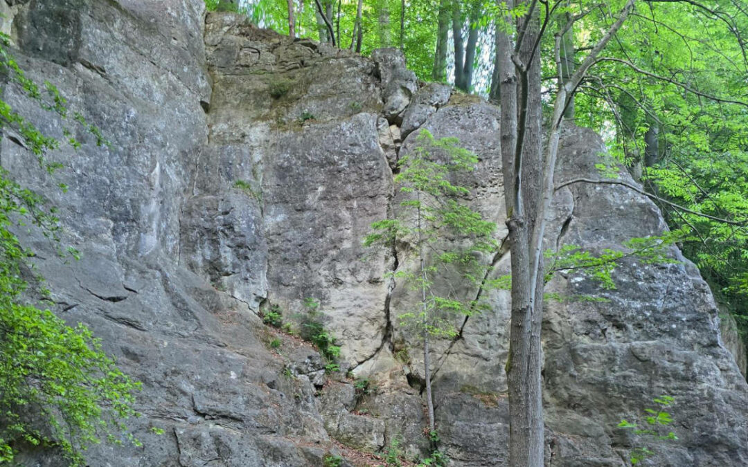 Kletterabsturz an der Trollwaldwand