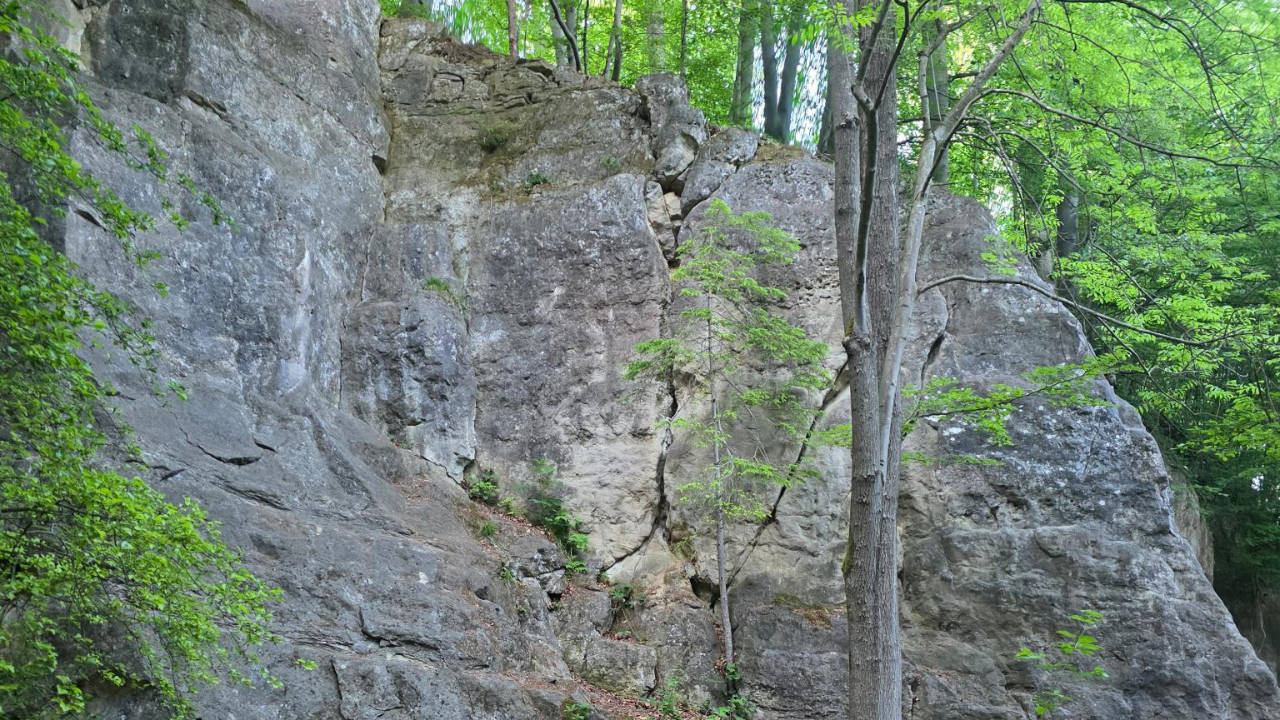 Kletterabsturz an der Trollwaldwand