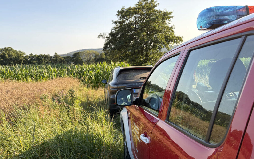 ausgelöste BMA und Einsätze in Wickensen